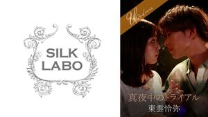 [220SILKU-095] Midnight Trial: a secret late-night interrogation
